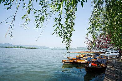 神秘新作《替罪羊》预告网站上线 9月15日正式公布